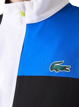 Treino Lacoste Sport Tennis Estampado De Homem 