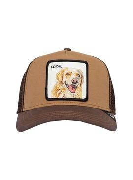 Gorro Goorin Bros The Loyal Dog Camel