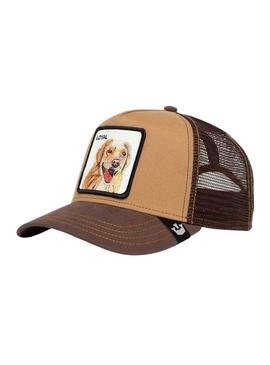 Gorro Goorin Bros The Loyal Dog Camel