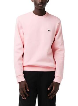 Sweat Lacoste Basic Rosa para Homem