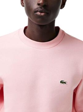 Sweat Lacoste Basic Rosa para Homem