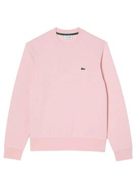 Sweat Lacoste Basic Rosa para Homem