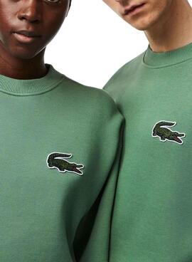 Sweat Lacoste Croco Verde para Homem