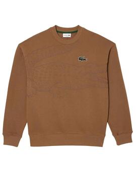 Sweat Lacoste Jogger Loose Fit Marrom Homem