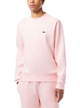 Sweat Lacoste Algodón Cepillado Rosa Homem
