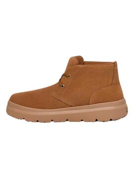 Botas UGG Burleigh Chukka Castanha para Homem