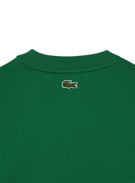 T-Shirt Lacoste Knitted Acolchoado Verde Homem