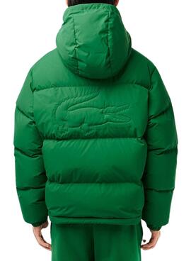 Jaqueta Lacoste Blouson Verde para Homem