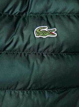 Colete Lacoste Acolchoado Verde para Homem