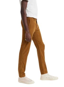 Calças Chino Levis Veludo cotelê Camel para Homem