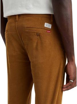 Calças Chino Levis Veludo cotelê Camel para Homem