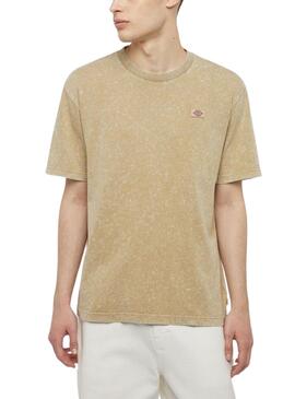 Camiseta Dickies Newington Tee Bege para Homem.