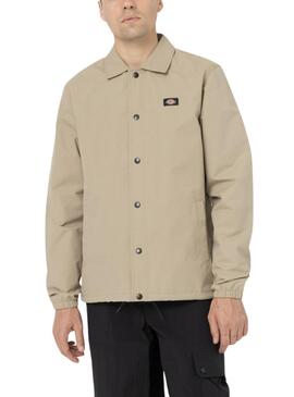 Casaco Dickies Oakport Coach Bege para Homem