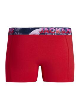 Caixa de cuecas Boxer Jack and Jones Jacpaw Multicolor para Homem