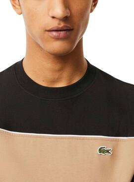 Camisa Lacoste Band preta e bege para homem