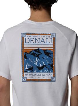 Camiseta The North Face Denali cinza para homem