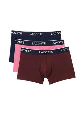 Boxers Lacoste Boxer Bordô, Rosa e Azul para homem