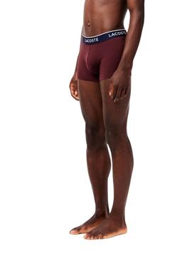 Boxers Lacoste Boxer Bordô, Rosa e Azul para homem