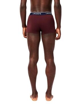 Boxers Lacoste Boxer Bordô, Rosa e Azul para homem