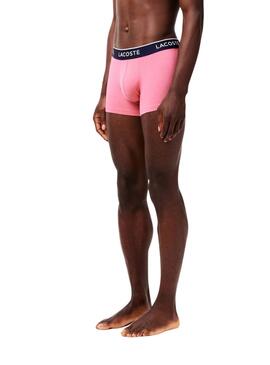 Boxers Lacoste Boxer Bordô, Rosa e Azul para homem