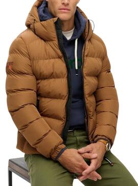 Casaco Acolchoado com Capuz Superdry Castanho para homem