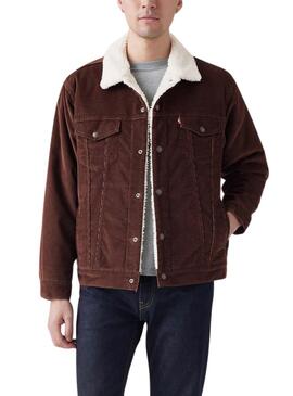 Jaqueta Trucker Levis Sherpa em Veludo Castanho para homem