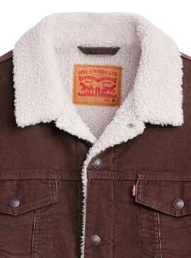 Jaqueta Trucker Levis Sherpa em Veludo Castanho para homem