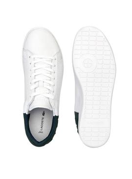 Sapatilhas Lacoste Carnaby Evo Branco Verde Homem