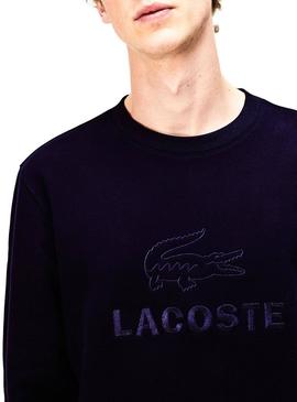 Logotipo marinho bordado Sweat Lacoste para Homem