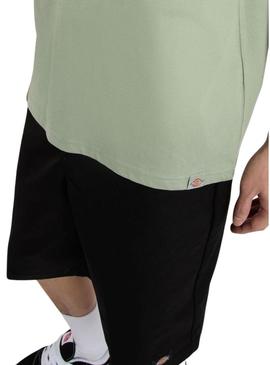 Camiseta Dickies Snake verde para homem.