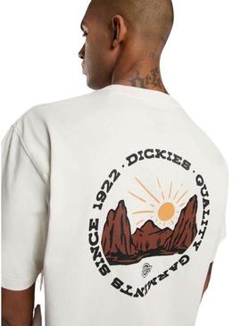Camiseta Dickies Outdoor bege para homem.