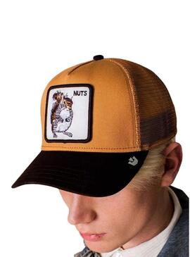 Boné Goorin Bros Nuts marrom e tostado para homens