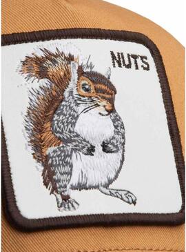 Boné Goorin Bros Nuts marrom e tostado para homens