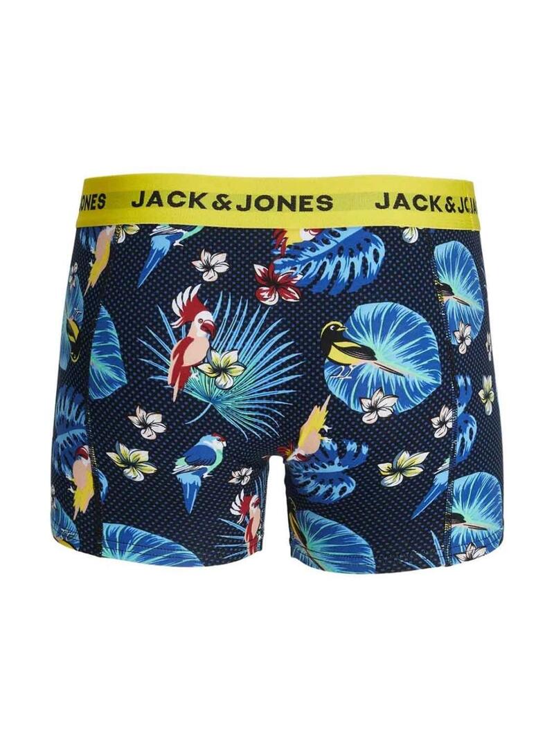 Caixa de cuecas Jack and Jones Flower Bird para homem