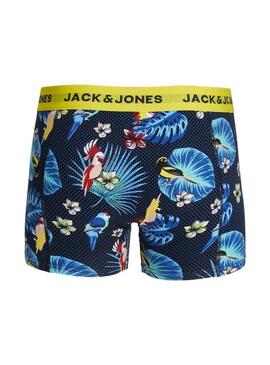 Caixa de cuecas Jack and Jones Flower Bird para homem