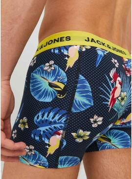 Caixa de cuecas Jack and Jones Flower Bird para homem