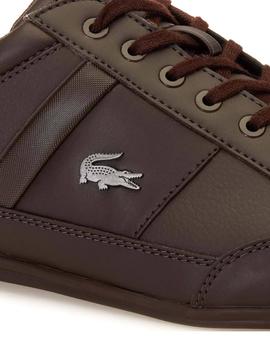 Sapatilhas Lacoste Chaymon marrom para Homem