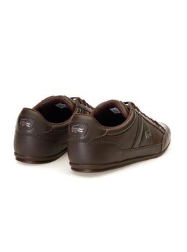 Sapatilhas Lacoste Chaymon marrom para Homem